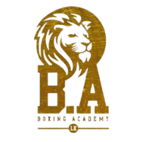 Boxing Academy logo